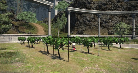 【FF14】6.01後にポリゴンが追加され強化されたラヴィリンソスの新「ブドウ」がこちら！【画像有】