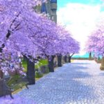 【FF14】9年前のイベントで無料で入手できた桜の木、現在は大高騰しマケボにて1本3500万超えｗｗｗｗｗｗｗｗ