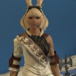 【FF14】フォーラム民「ヴィエラのグラフィックがダウングレードしてます。体に斜線が入るバグも出てます」→運営が仕様と判断してしまう・・・