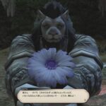 【FF14】出番がなくなるか声無しになるのが濃厚？声優「山本格」さんの芸能活動が廃業に→今後、ルナルのボイスはどうなるのかヒカセンたちの間で話題に