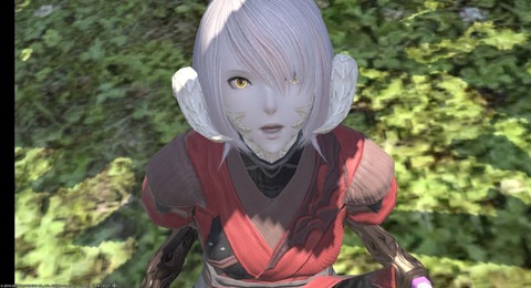 【FF14】アウラの角の種族設定が話題になったけど「アウラの愛情表現は角をこすり合わせること」が公式設定ってみんな覚えてる？