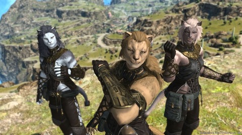 【FF14】ロスガル女性はXでは結構見るけどコンテンツ内では全然見かけない件。ユーザー調査では「日本でロスガル女性は全体の1.2%」という結果に