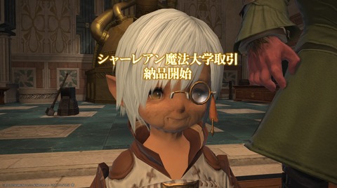 【FF14】眼鏡をかけたミコッテさん、眼鏡の影のせいかおばさんみたいに見えてしまう