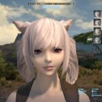 【FF14】グラアプデをするよりキャラメイクの選択肢を増やしたほうがユーザーは満足したと思うんだが・・・