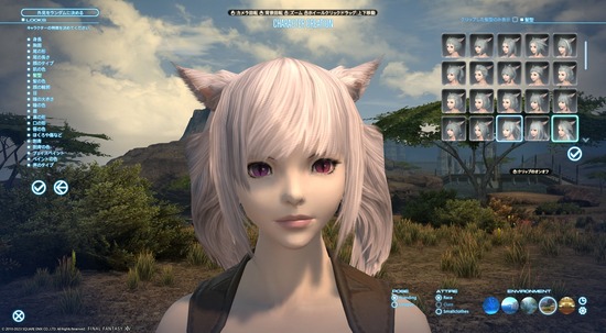 【FF14】グラアプデをするよりキャラメイクの選択肢を増やしたほうがユーザーは満足したと思うんだが・・・