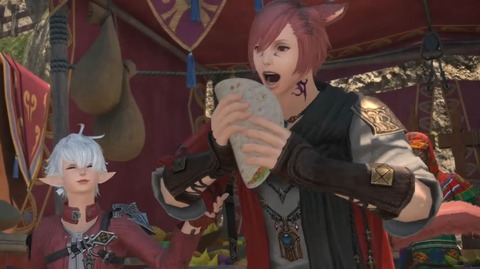 【FF14】黄金で暁が結果的にではあるけど国家間の争いに関与してしまったことに納得がいかない人が一部いる模様。個人で自由に動いてたら勝手に集まっちゃったという意見も