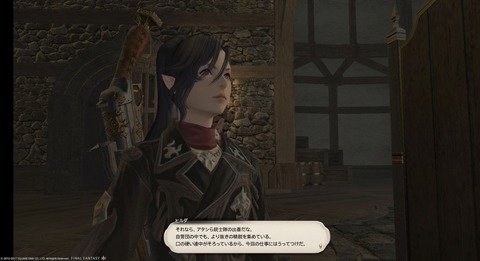 【FF14】「ゲーム中に登場するNPCにハーフ種族を見かけないけど存在してるの？」←蒼天にエレゼンとヒューランのハーフがいる件