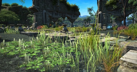 【FF14】7.1の新生エリアの植物高解像度化やオブジェクトのポリゴン数増加のグラアプデ対応でめちゃくちゃ綺麗になる！風景好きな人は見ておくべし！