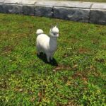 【FF14】7.1でアルパカ系アクセが実装されたの知ってた？首装備はもこもこのネックウォーマーだぞ！