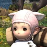 【FF14】ユーザー「7.0グラアプデ以降からトナカイ帽子を被るとおでこに影ができる！不具合でしょ！」→運営に仕様と判断されて絶望へ・・・