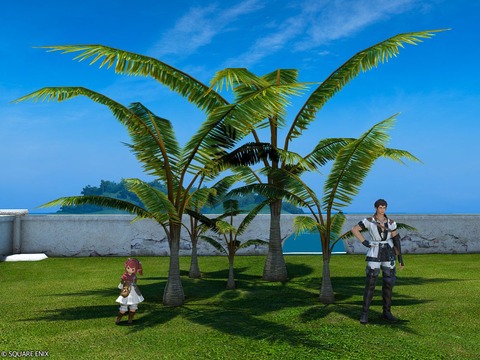 【FF14】大ぶりサイズで飾れば目立つこと間違いなし！ヤシの木＆サボテンの群生庭具の実装で無人島ハウジングも捗る！