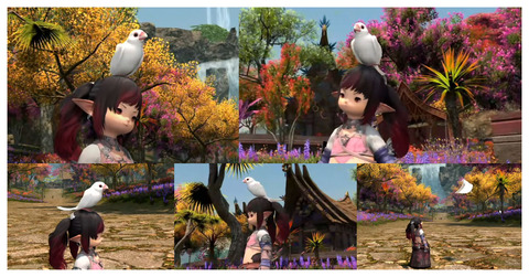 【FF14】7.2で真っ白なめちゃくちゃ可愛い文鳥ミニオンが実装決定で文鳥好きヒカセンたちが歓喜！