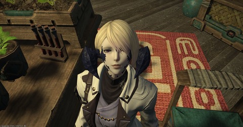 【FF14】友好部族マムージャ族に登場するNPC「アンギル」さんが密かな人気。シャーレアンの研究者で蟹角アウラお姉さん、研究書より重いものを持ったことがない設定