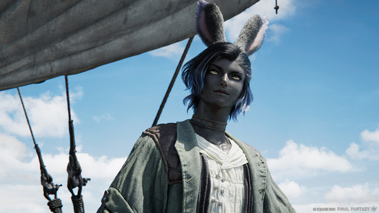 【FF14】エレンヴィルさん、とある理由でユーザーたちからドン引きされる「恥ずかしくないの？」
