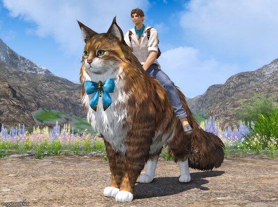【掲示板】猫マウントで次に実装してほしい猫種を挙げていくスレ【FF14】