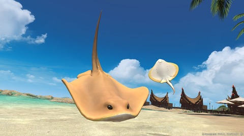 【FF14】7.3実装のエイミニオン「エイエイ」の入手方法が判明！