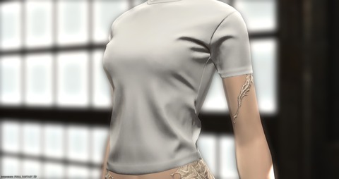 【FF14】7.3で実装されたカジュアルなTシャツは無地のものもあり！3つのサイズが三国ショップにて2000ギルで購入できるぞ！