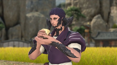 【FF14】7.35で新エモート「緑茶を飲む」が実装に！「正座して緑茶を飲み続ける」コマンドも