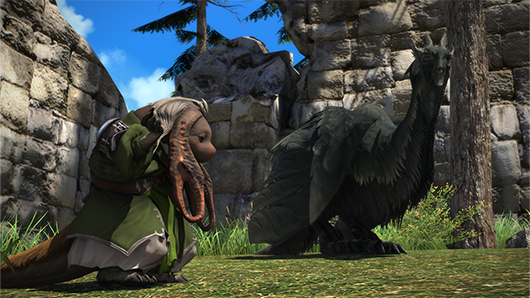【FF14】DD初心者にオススメのロール教えてくれ