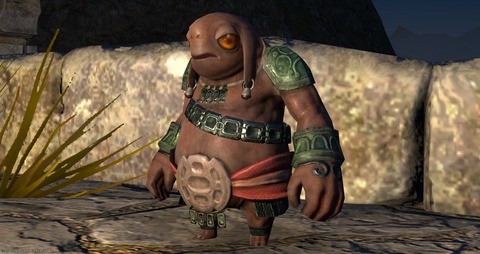 【FF14】本日の更新でヨカフイ族の友好度が「敬意」になりショップにミニオン「マメット・ヨカフイ」が追加！