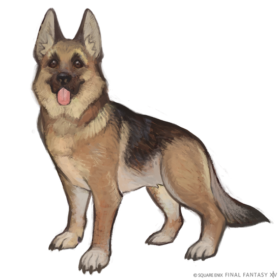 【FF14】7.4で犬と猫の新ミニオン「ブレイブ・シェパード」「ラノシアンショートヘア」が実装決定!公式ブログにて設定画が公開!